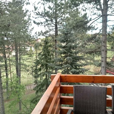 Apartman Nana Svetogorska 19 ,Stan 17 Zlatibor Buitenkant foto