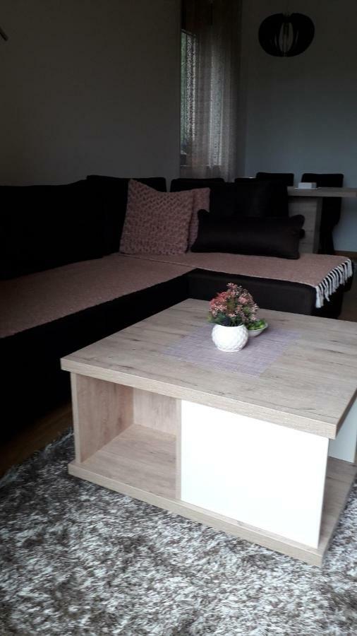 Apartman Nana Svetogorska 19 ,Stan 17 Zlatibor Buitenkant foto