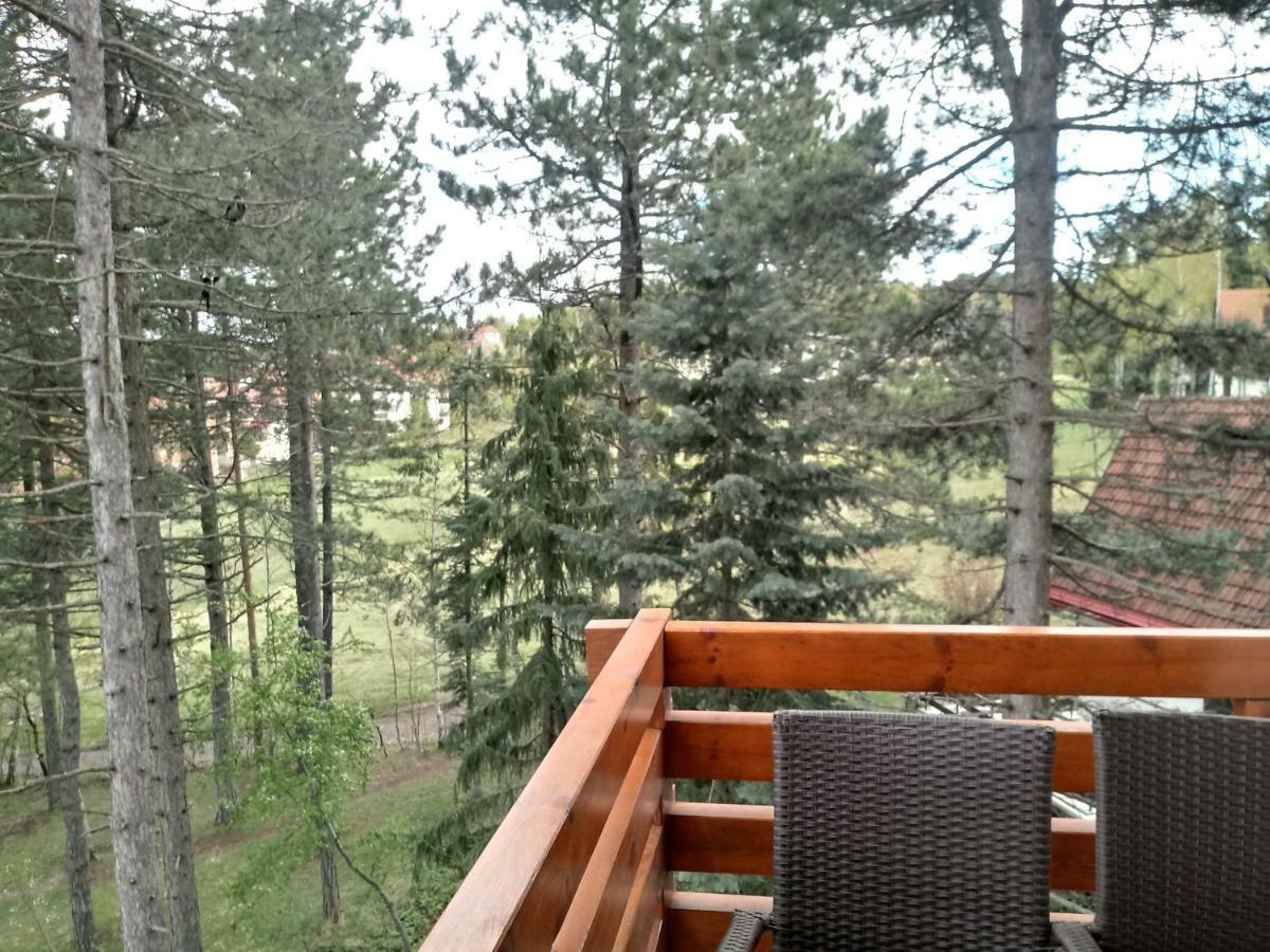 Apartman Nana Svetogorska 19 ,Stan 17 Zlatibor Buitenkant foto