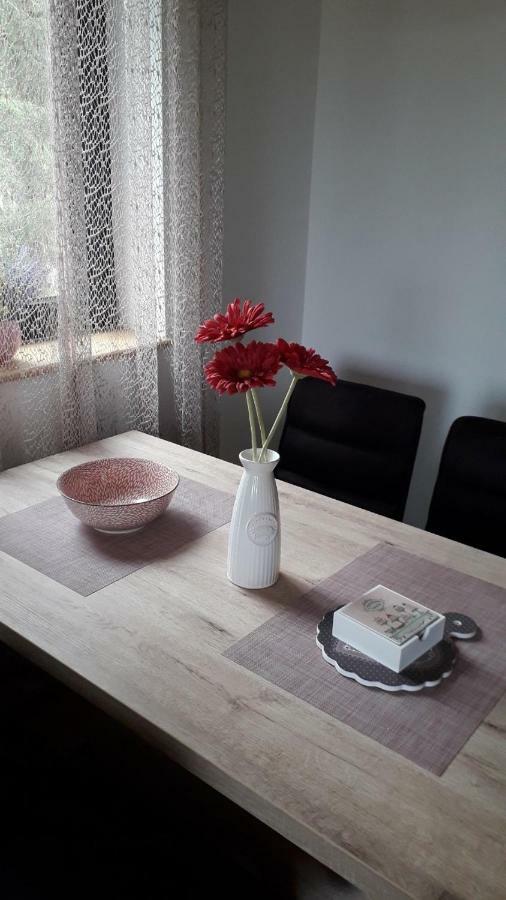 Apartman Nana Svetogorska 19 ,Stan 17 Zlatibor Buitenkant foto