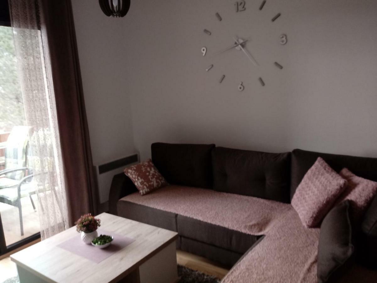 Apartman Nana Svetogorska 19 ,Stan 17 Zlatibor Buitenkant foto