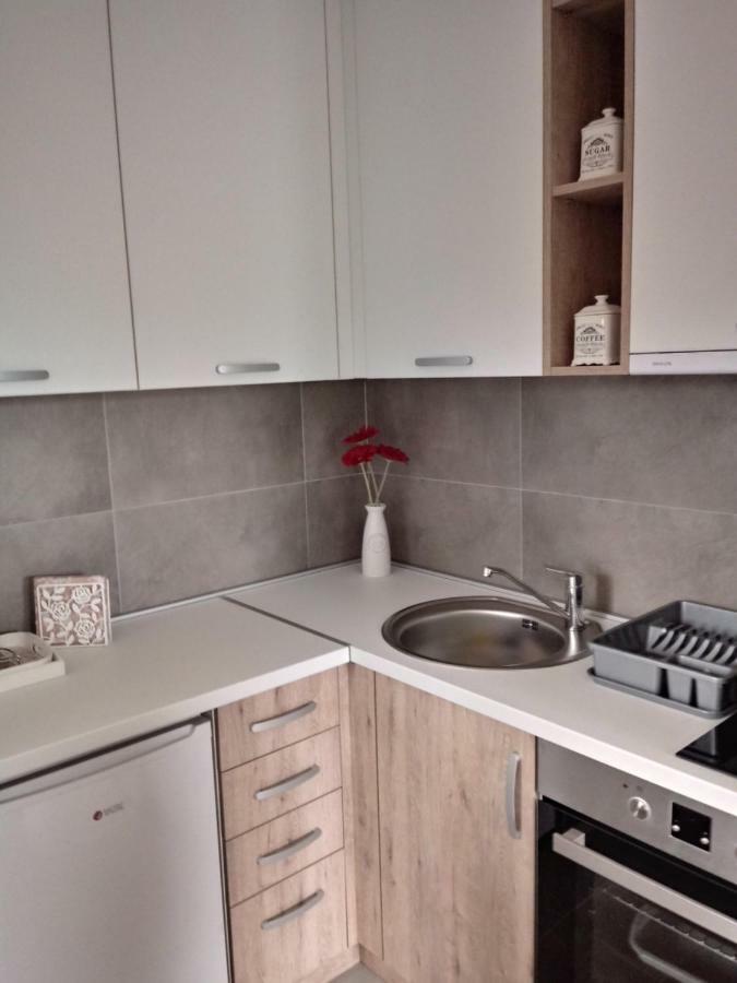 Apartman Nana Svetogorska 19 ,Stan 17 Zlatibor Buitenkant foto