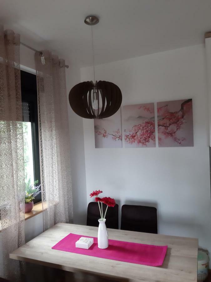 Apartman Nana Svetogorska 19 ,Stan 17 Zlatibor Buitenkant foto