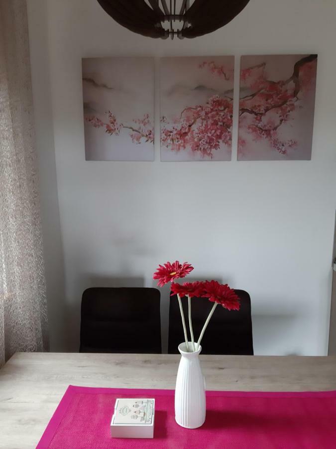 Apartman Nana Svetogorska 19 ,Stan 17 Zlatibor Buitenkant foto