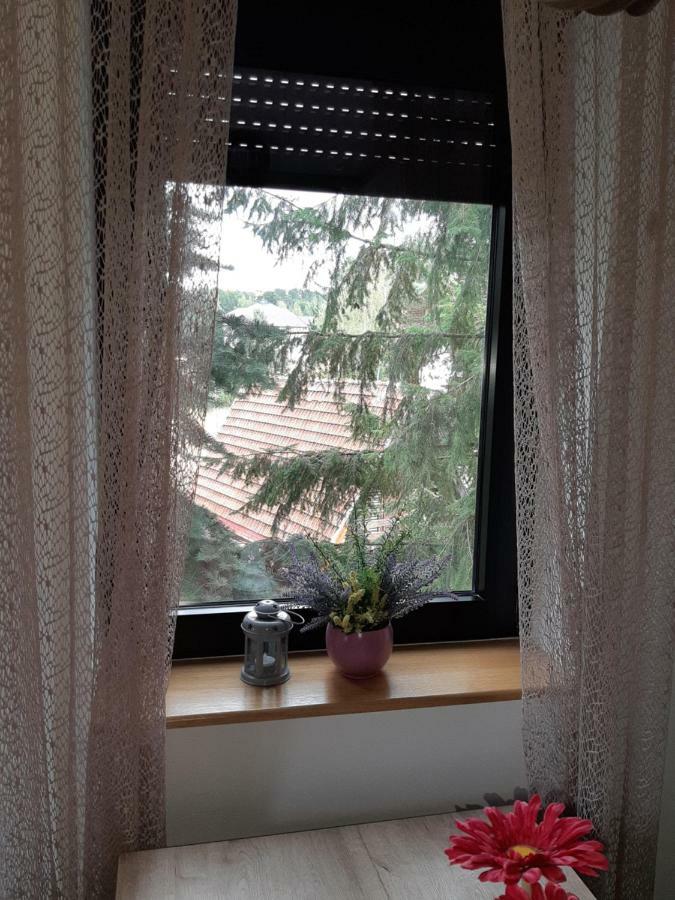 Apartman Nana Svetogorska 19 ,Stan 17 Zlatibor Buitenkant foto